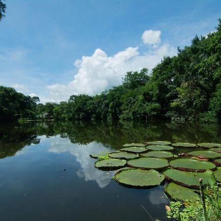 Los Chocuacos. Guacimo  Экстерьер фото