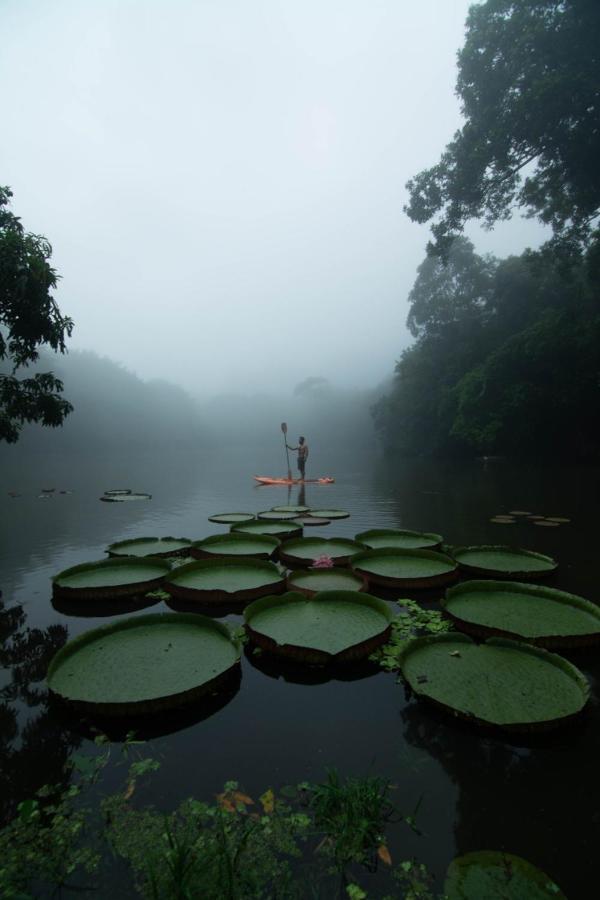 Los Chocuacos. Guacimo  Экстерьер фото
