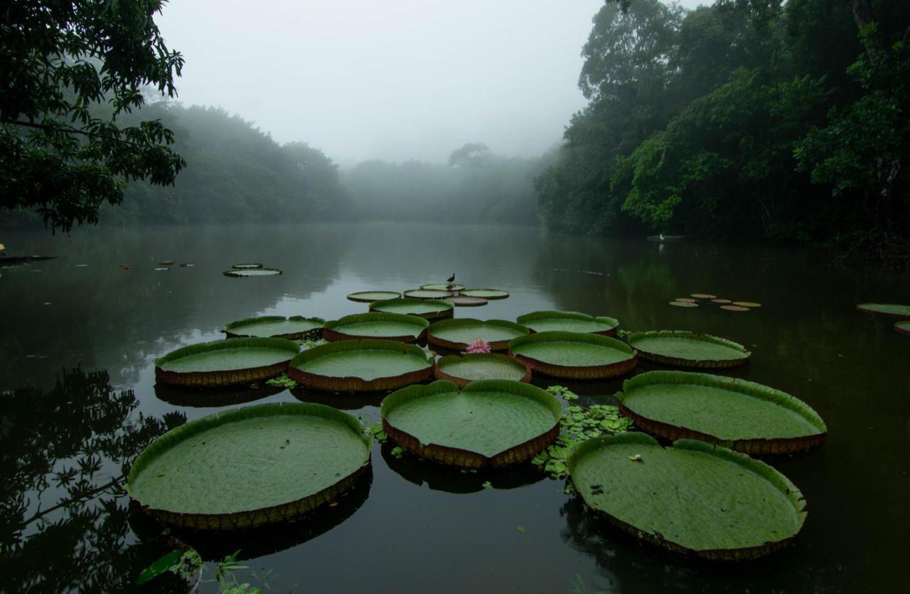 Los Chocuacos. Guacimo  Экстерьер фото